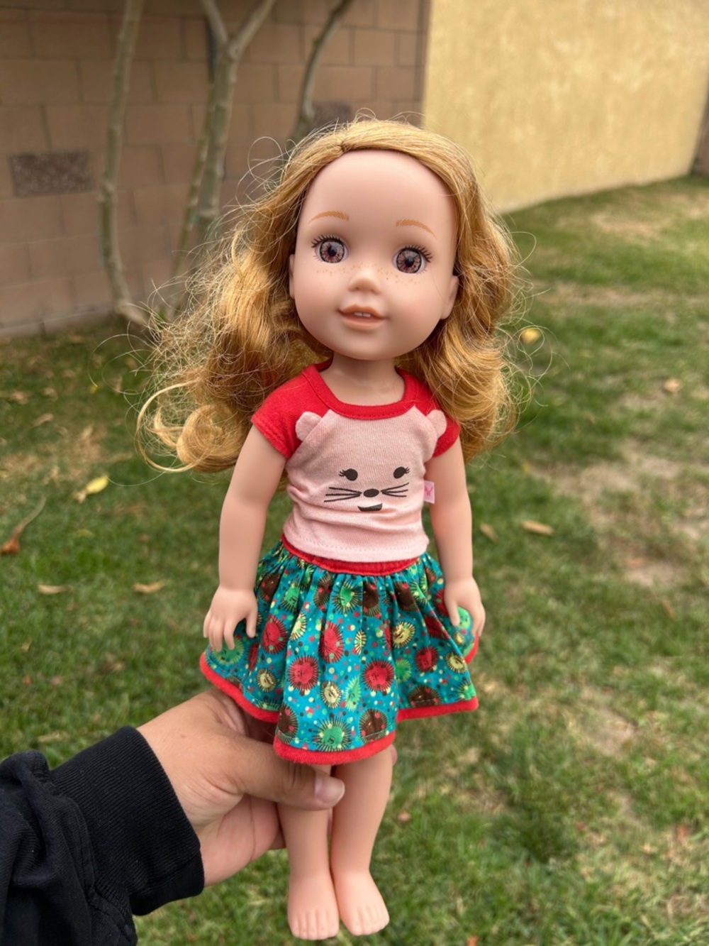 American Girl strawberry Blonde Doll with Pink & Red Outfit Welliewishers